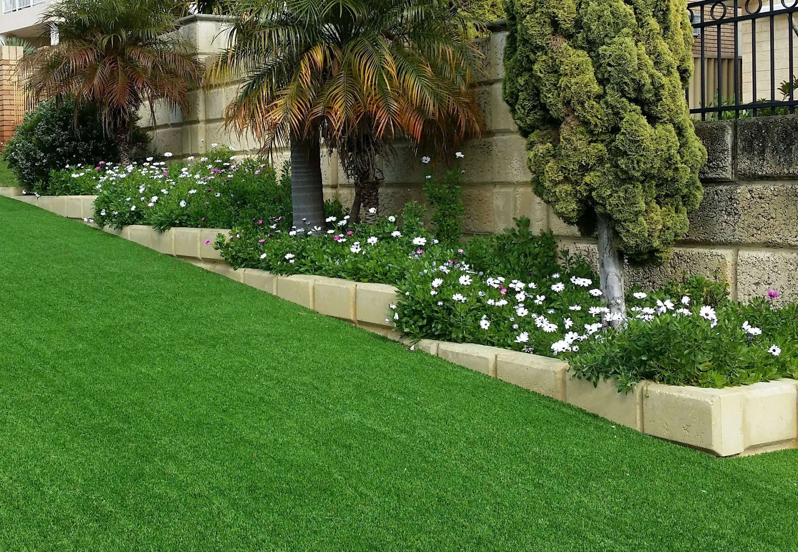 Wall and synthetic turf